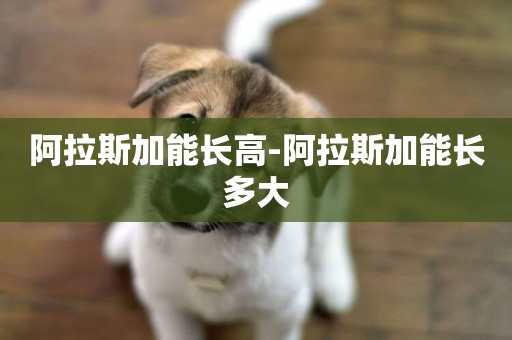 阿拉斯加能長高-阿拉斯加能長多大