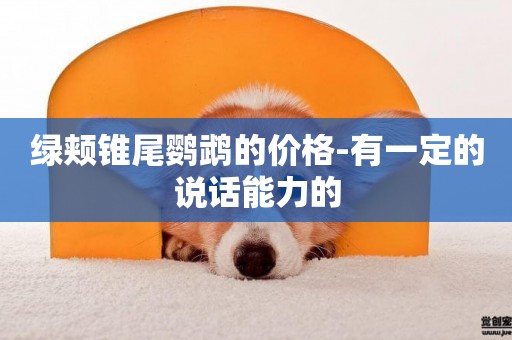 綠頰錐尾鸚鵡的價格-有一定的說話能力的