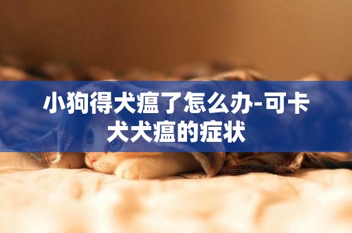 小狗得犬瘟了怎么辦-可卡犬犬瘟的癥狀