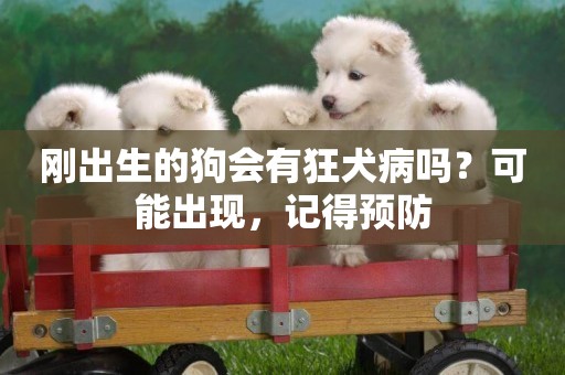 剛出生的狗會有狂犬病嗎？可能出現，記得預防