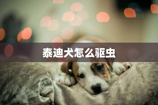 泰迪犬怎么驅蟲