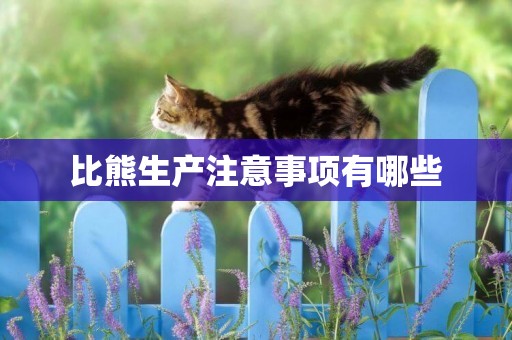 比熊生產注意事項有哪些