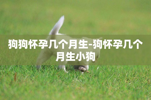 狗狗懷孕幾個月生-狗懷孕幾個月生小狗