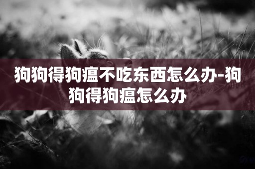 狗狗得狗瘟不吃東西怎么辦-狗狗得狗瘟怎么辦