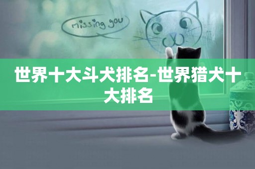 世界十大斗犬排名-世界獵犬十大排名