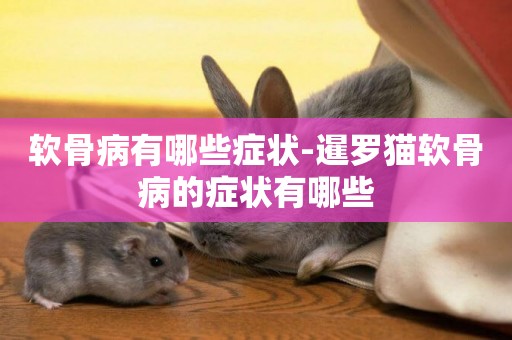 軟骨病有哪些癥狀-暹羅貓軟骨病的癥狀有哪些