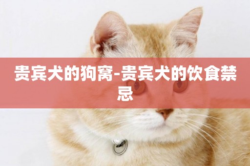 貴賓犬的狗窩-貴賓犬的飲食禁忌