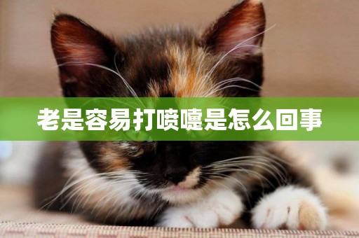 老是容易打噴嚏是怎么回事