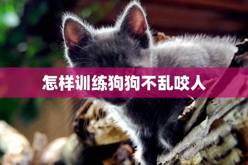 怎樣訓練狗狗不亂咬人