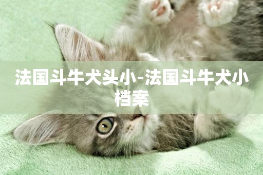 法國斗牛犬頭小-法國斗牛犬小檔案