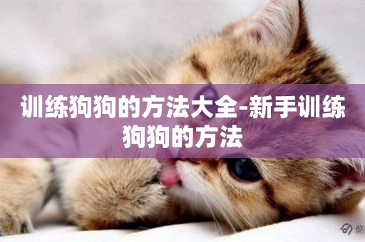訓練狗狗的方法大全-新手訓練狗狗的方法
