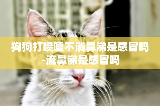 狗狗打噴嚏不淌鼻涕是感冒嗎-流鼻涕是感冒嗎