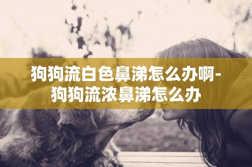 狗狗流白色鼻涕怎么辦啊-狗狗流濃鼻涕怎么辦