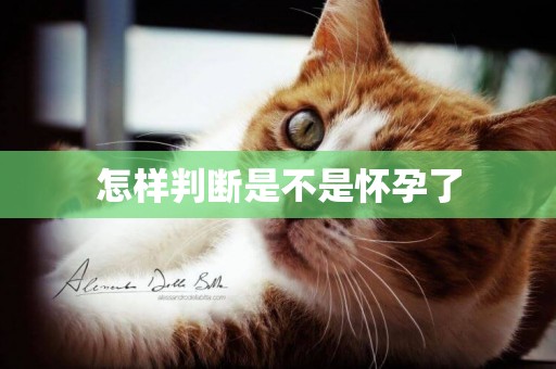 怎樣判斷是不是懷孕了