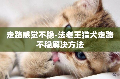 走路感覺不穩-法老王獵犬走路不穩解決方法