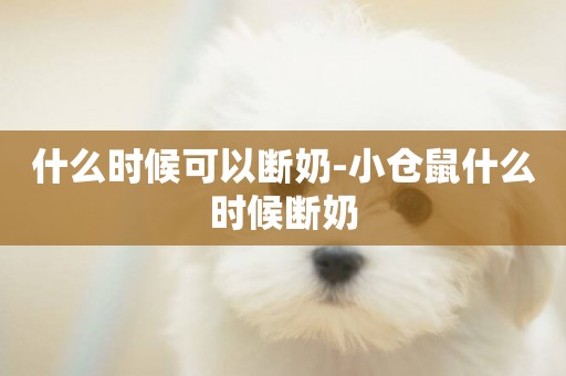 什么時候可以斷奶-小倉鼠什么時候斷奶