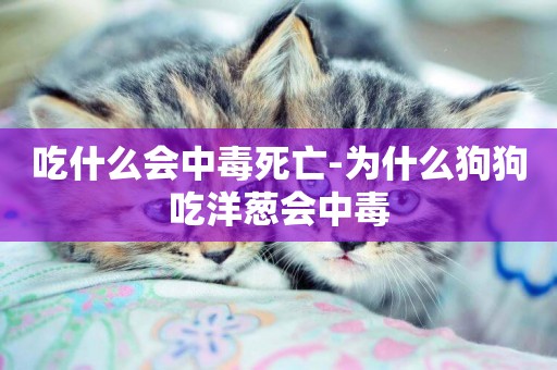 吃什么會中毒死亡-為什么狗狗吃洋蔥會中毒