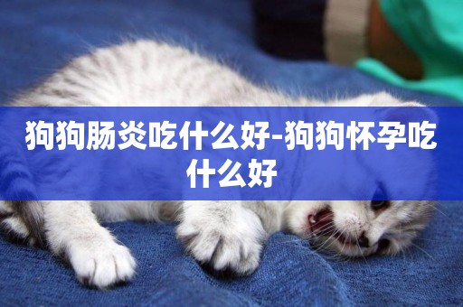 狗狗腸炎吃什么好-狗狗懷孕吃什么好