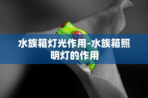水族箱燈光作用-水族箱照明燈的作用