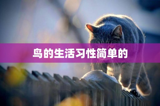 鳥的生活習性簡單的