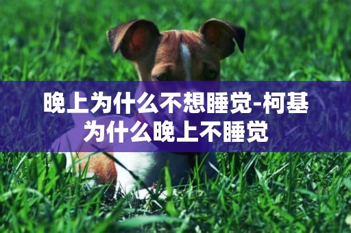 晚上為什么不想睡覺-柯基為什么晚上不睡覺