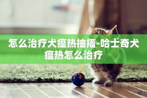 怎么治療犬瘟熱抽搐-哈士奇犬瘟熱怎么治療