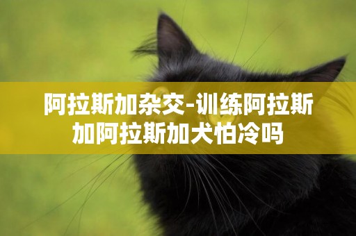 阿拉斯加雜交-訓練阿拉斯加阿拉斯加犬怕冷嗎