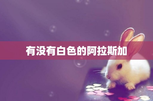 有沒有白色的阿拉斯加