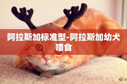 阿拉斯加標準型-阿拉斯加幼犬喂食