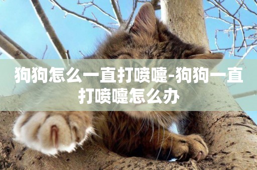 狗狗怎么一直打噴嚏-狗狗一直打噴嚏怎么辦