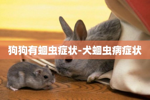狗狗有蛔蟲癥狀-犬蛔蟲病癥狀