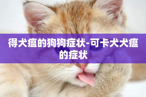 得犬瘟的狗狗癥狀-可卡犬犬瘟的癥狀