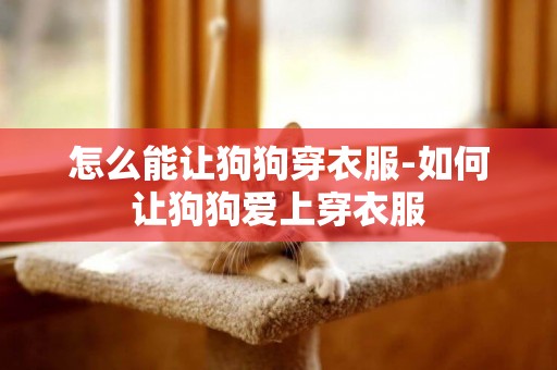 怎么能讓狗狗穿衣服-如何讓狗狗愛上穿衣服