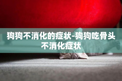 狗狗不消化的癥狀-狗狗吃骨頭不消化癥狀