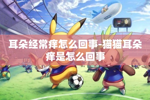 耳朵經常癢怎么回事-貓貓耳朵癢是怎么回事