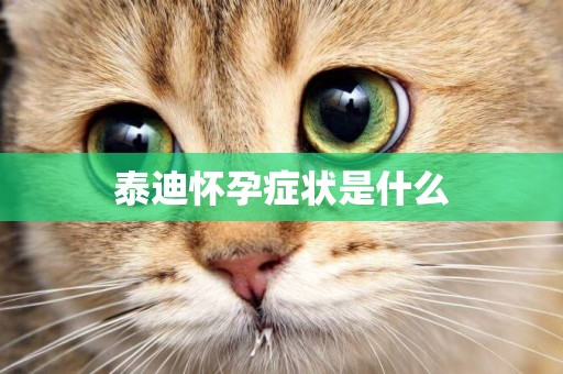 泰迪懷孕癥狀是什么