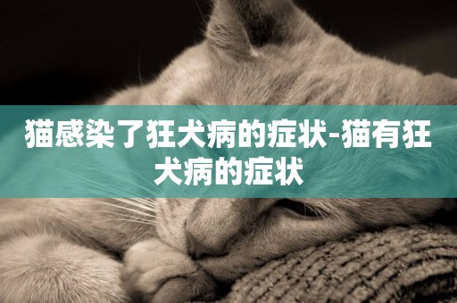 貓感染了狂犬病的癥狀-貓有狂犬病的癥狀
