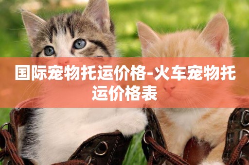 國際寵物托運價格-火車寵物托運價格表