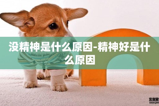 沒精神是什么原因-精神好是什么原因