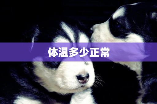 體溫多少正常