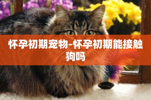 懷孕初期寵物-懷孕初期能接觸狗嗎