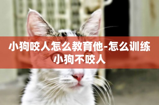 小狗咬人怎么教育他-怎么訓練小狗不咬人
