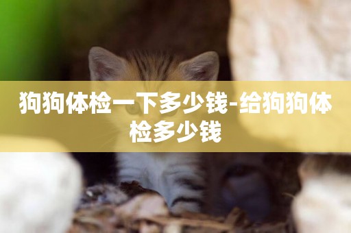 狗狗體檢一下多少錢-給狗狗體檢多少錢