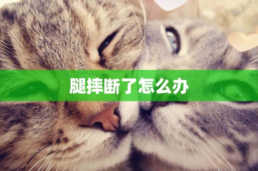 腿摔斷了怎么辦