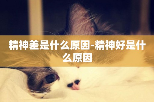 精神差是什么原因-精神好是什么原因