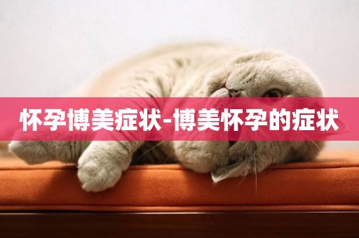 懷孕博美癥狀-博美懷孕的癥狀
