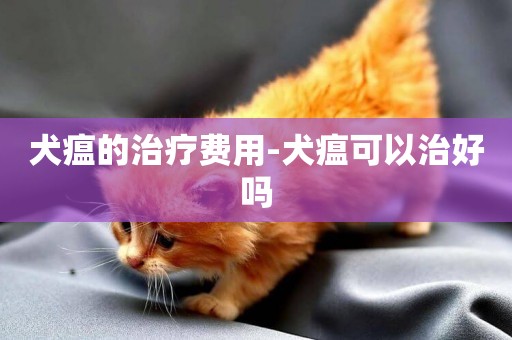 犬瘟的治療費用-犬瘟可以治好嗎