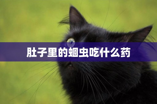 肚子里的蛔蟲吃什么藥