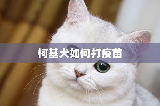 柯基犬如何打疫苗