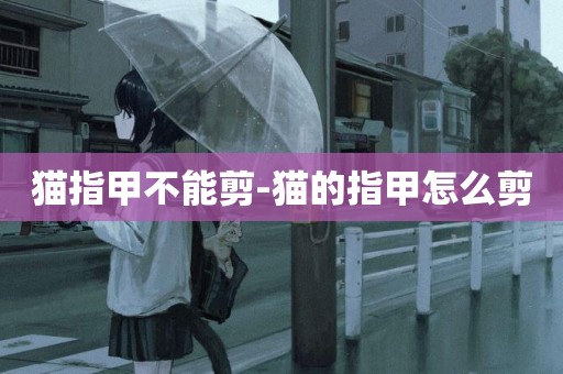 貓指甲不能剪-貓的指甲怎么剪